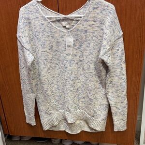 LOFT Women's Cream and Blue V-Neck Sweater